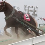 "Banei Tokachi" Obihiro Horse Race Track
