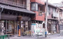 谷中 －美景在等你