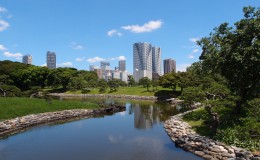Hamarikyu Gardens : A Haven of Peace in the Middle of Tokyo