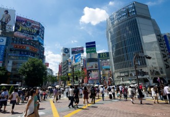 A Summer Vacation in Japan