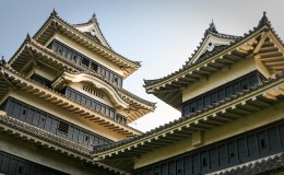 The Castles of Chubu