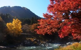 A Trip to Mitake Mountain