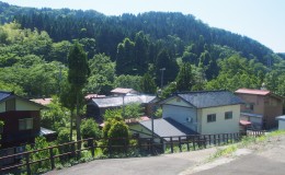 How to Survive in the Japanese Countryside