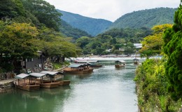Arashiyama : Good for Humans and Beyond