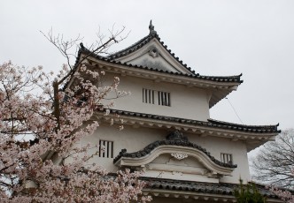 Marugame Castle: The Smallest Keep