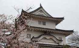 Marugame Castle: The Smallest Keep
