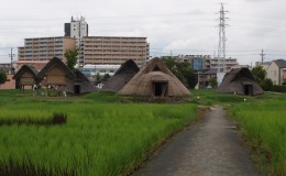 Shizuoka City's Influential History, Toro Remains and Senpu Castle