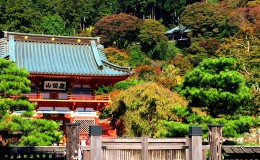 Warm Autumn Memories in Minoo, Osaka