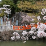 Kofu: A Worthwhile Daytrip for Nature and History Lovers
