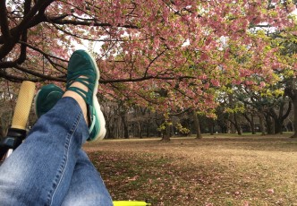 Best Spots for Picnic While Hanami in Tokyo