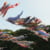 carp streamers