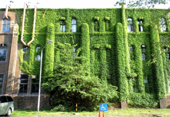 5 Popular Activites on Hokkaido University Campus