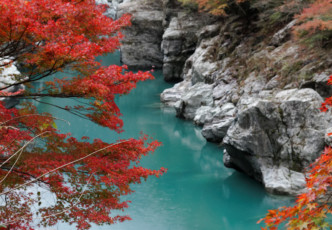 Tokushima: A Day Trip with a Difference