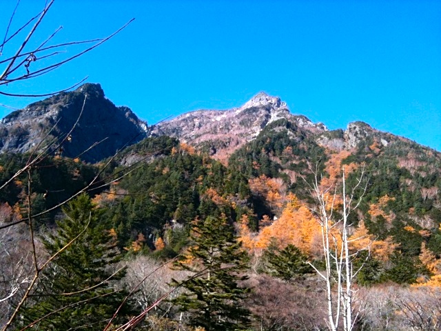 12537391784_f77c89f82d_o