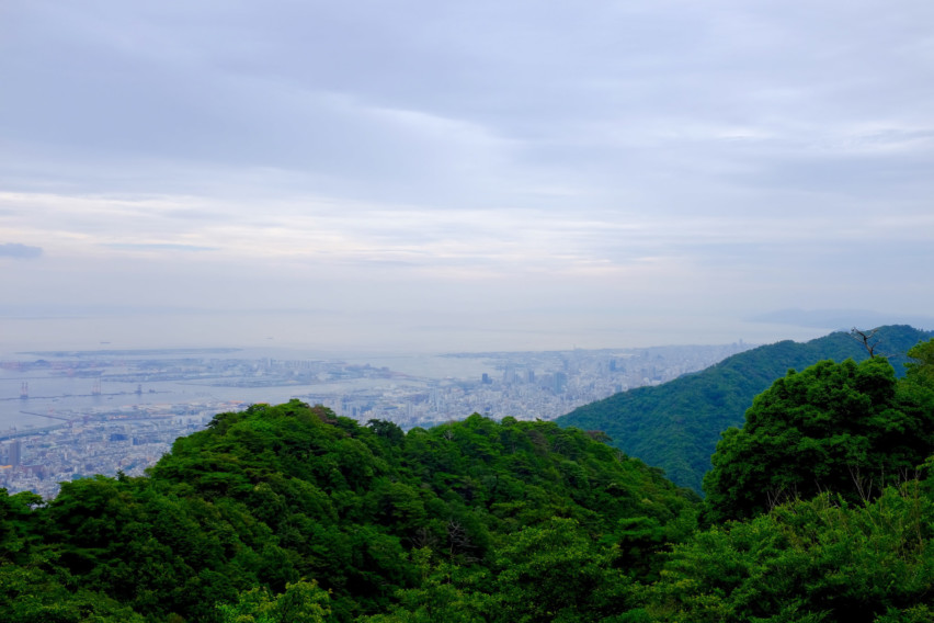 19349091645_4d3239374a_k