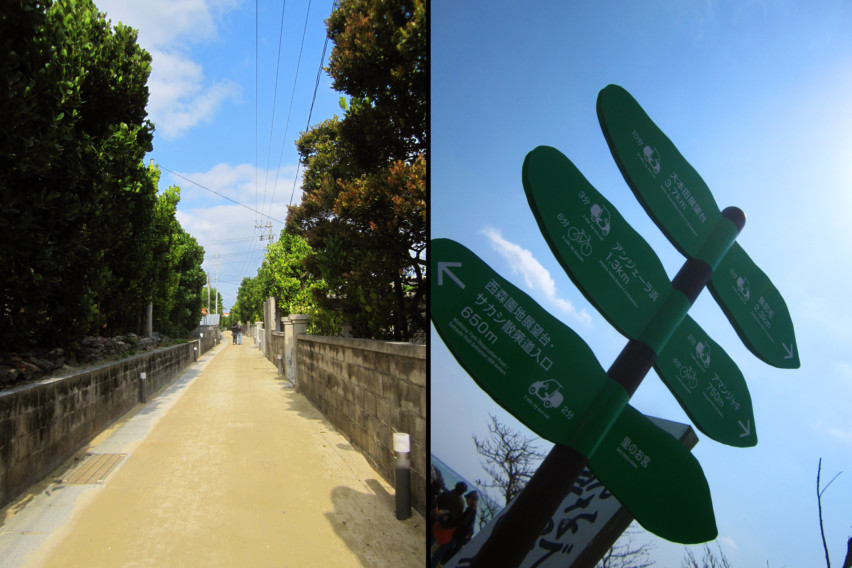 a-whole-island-to-explore