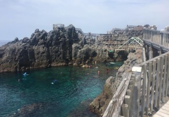 Kozushima: My Cool Island Getaway
