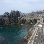 Kozushima: My Cool Island Getaway