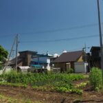 Going Organic: What a Weekend at a Self-Sustaining Resort in Japan Taught Me