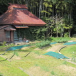 At Home in Rural Japan Pt. 3: The Wonder of Japanese Vegetable Gardens