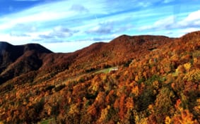 View from the Zao ropeway in late October