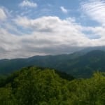 Hike a Hidden Gem in Kanagawa: Mount Hakusan