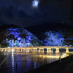 Arashiyama Hanatouro Illumination: A Bright Forest in Winter