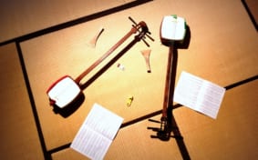 Two shamisen instruments on tatami mats