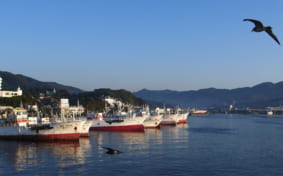 Cultural Experiences in Kesennuma