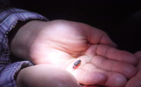 A firefly on someone's palm