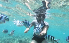 Woman snorkeling with fish at Ikei Island Okinawa