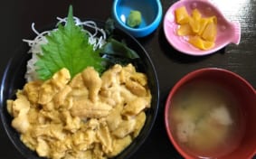 Unidon and other dishes