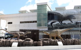 Outdoor display of Fukuiraptor and Fukuisaurus