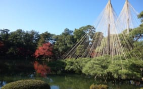 Kenrokuen Garden in autumn