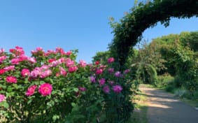 Keisei Rose Garden