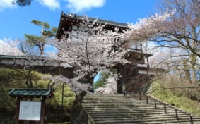 Senshu Park in Akita