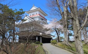 5 Akita Castles