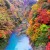 Some of the Must-see Best Autumn-leaf Viewing Spots in Koshinetsu Area!