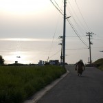 Amazing Akita: Japan’s Northern Gem