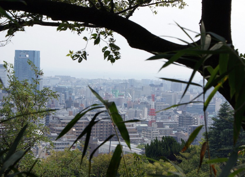 3979809971_b78e1693a3_b