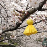 The 5 Best Hanami Spots in Tokyo