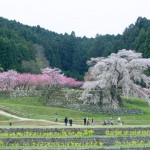 The Fun, Exciting Things To Do In Uda City 