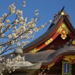 Okazaki: The Home of the First Tokugawa Shogun