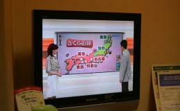 日本的电视和广播