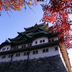 Chrysanthemum Doll Shows and Autumn Colors