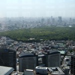 Festivals at Yoyogi Park