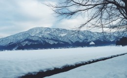 雪和拉面的终极组合