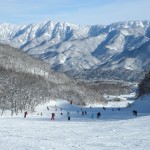 Top 5 Winter Activities in Japan