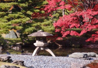 Autumn at Tokyo's Imperial Palace
