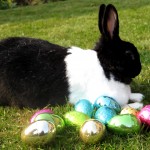 It’s Easter in Japan!